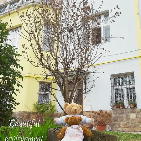 Hill * Budapeşte