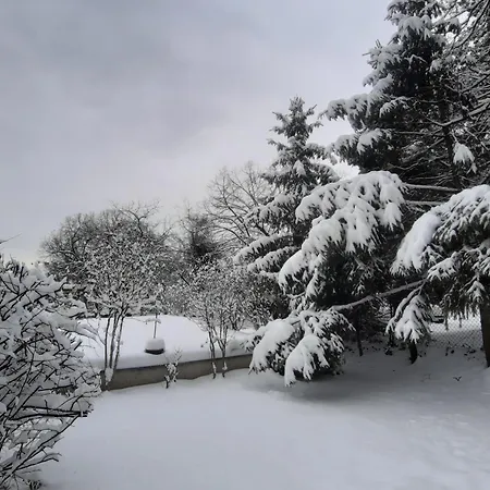 Hill Budapeşte