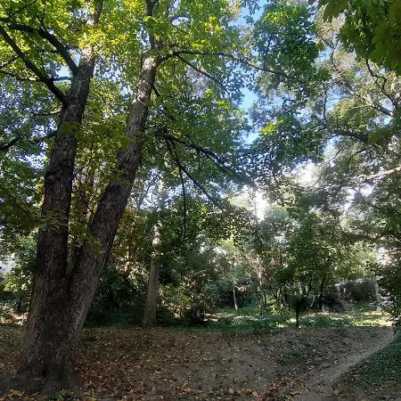 Apartment Hill *