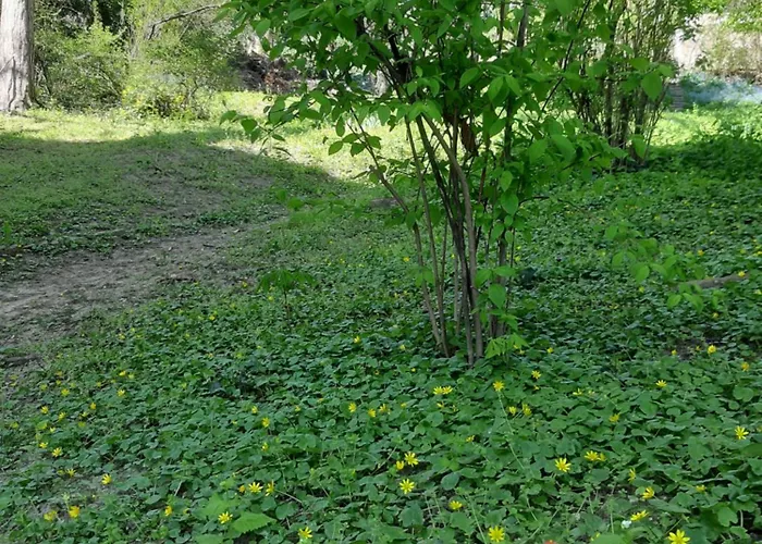 Hill