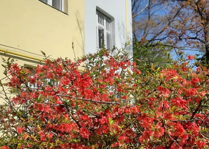 Lejlighed Hill Budapest